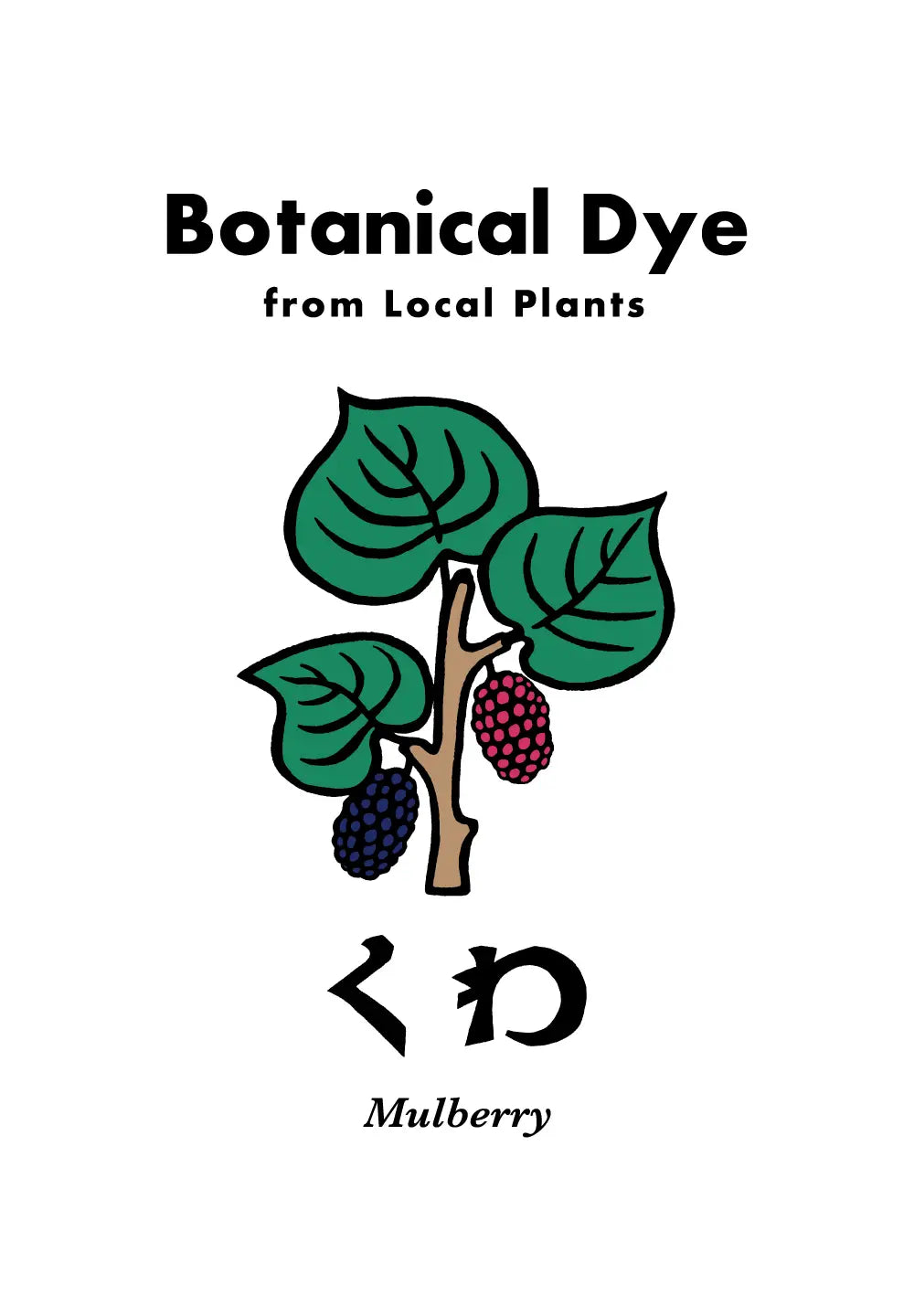 MULBERRY DYE